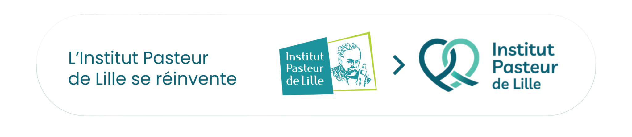 page d'accueil de Institut Pasteur de Lille